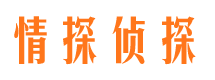 谢家集市侦探公司